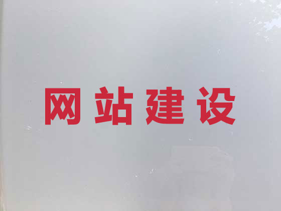 新泰市网站开发公司
